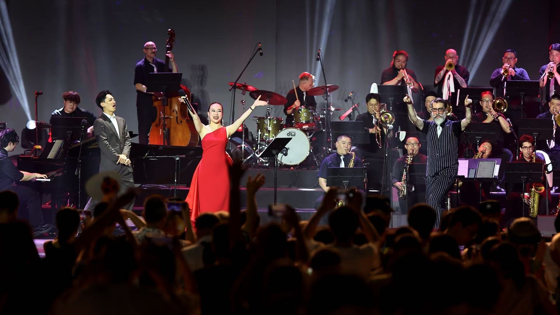 Concerts & Festival Appearances